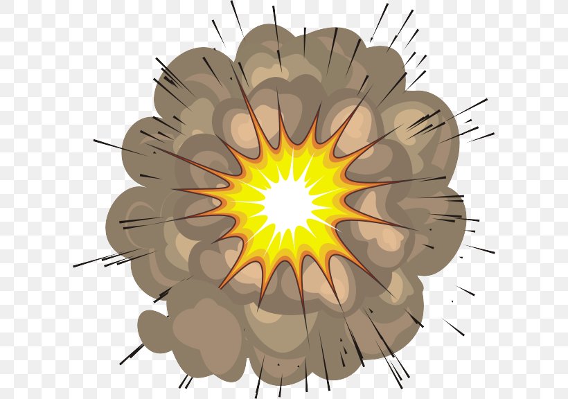 Detonation Bomb Gasoline Dynamite Fuel, PNG, 610x576px, Comics, Art, Cartoon, Explosion, Flower Download Free