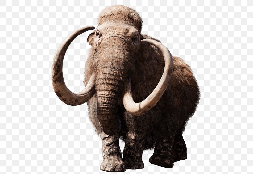 Far Cry Primal Far Cry 4 Elephant Steppe Mammoth PlayStation 4, PNG, 557x566px, Far Cry Primal, African Elephant, Animal, Deextinction, Elephant Download Free