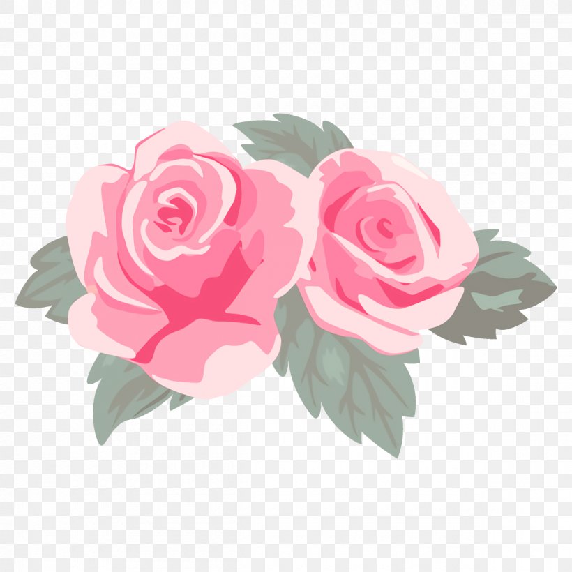 Garden Roses, PNG, 1200x1200px, Pink, Flower, Flowering Plant, Garden Roses, Hybrid Tea Rose Download Free