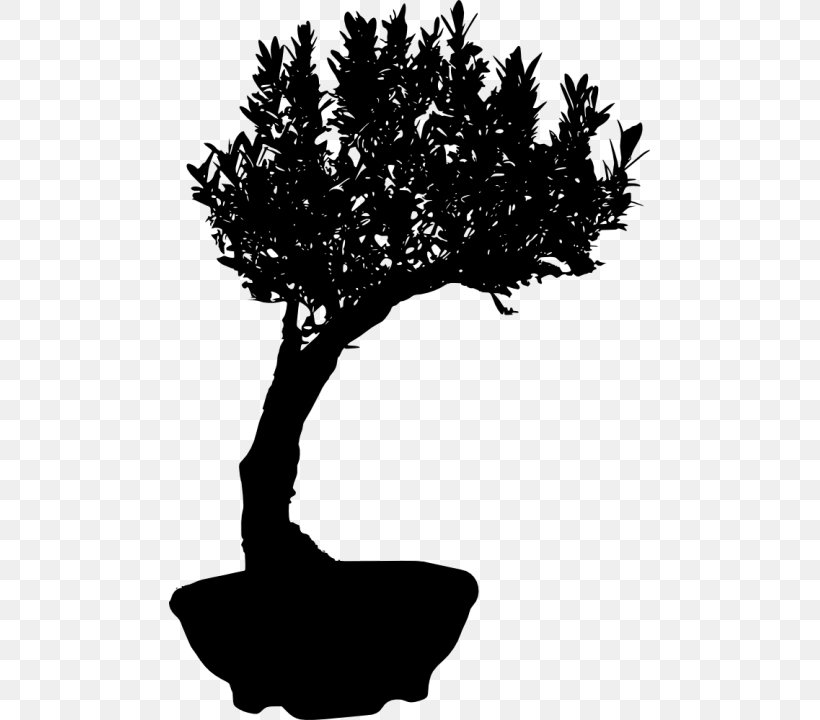 Bonsai Silhouette Chinese Sweet Plum, PNG, 481x720px, Bonsai, Black And White, Branch, Chinese Sweet Plum, Drawing Download Free