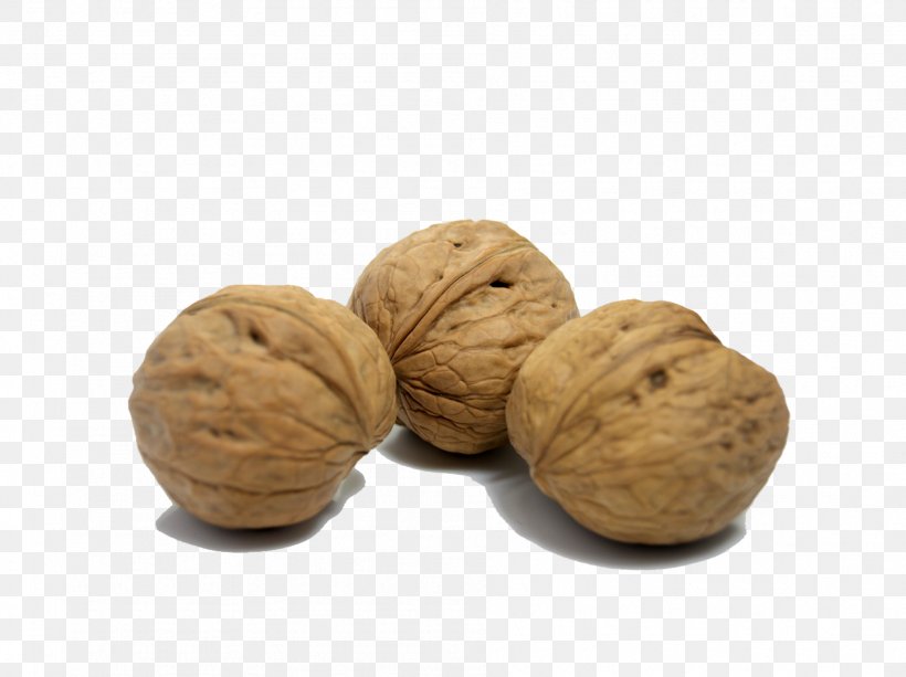 English Walnut Eating Nutrition, PNG, 1892x1416px, Walnut, Diet, Dietary Fiber, Dried Fruit, Eating Download Free