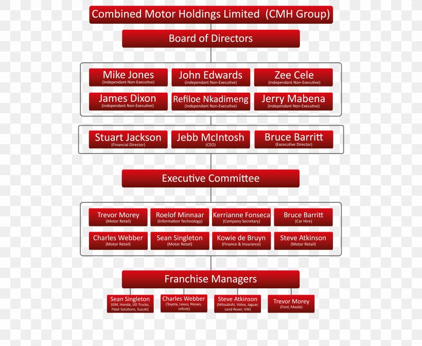 Executive Branch Cmh Fleet Solutions Chief Executive Combined Motor Holdings Limited Management, PNG, 8000x6563px, Executive Branch, Area, Board Of Directors, Brand, Chief Executive Download Free