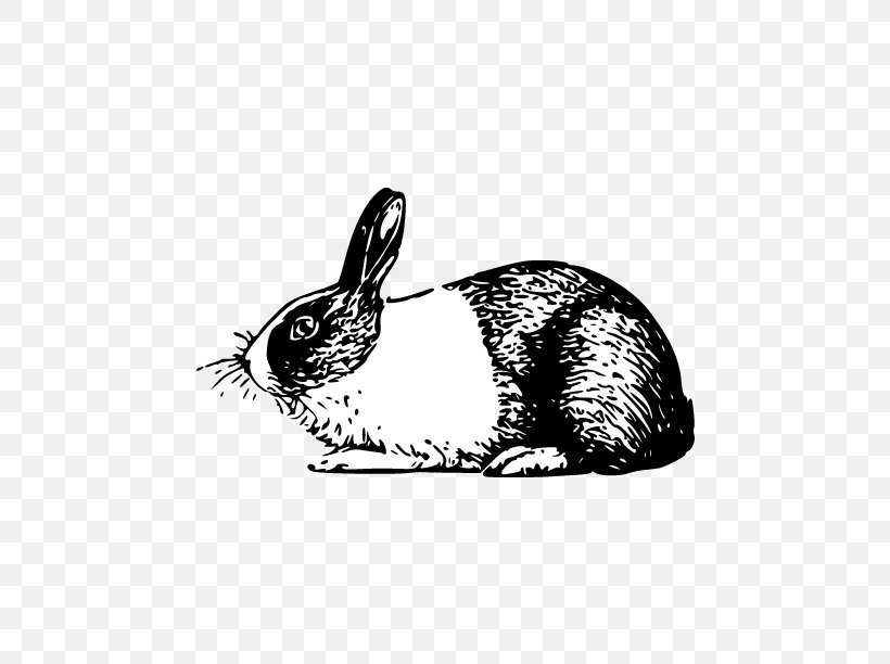 Angora Rabbit Dutch Rabbit Domestic Rabbit Clip Art, PNG, 612x612px, Angora Rabbit, Animal, Black, Black And White, Domestic Rabbit Download Free