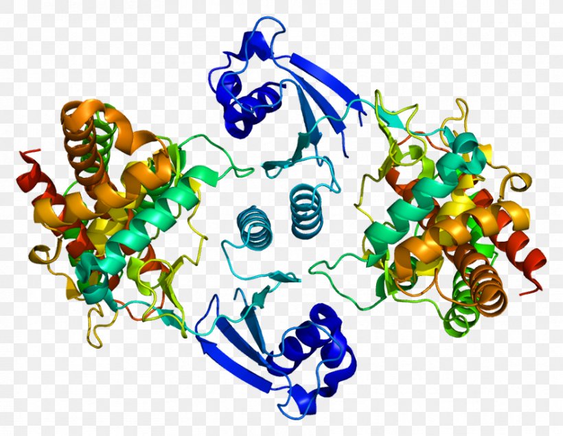 CHKA Choline Kinase Protein Wikipedia, PNG, 883x684px, Protein, Area, Art, Artwork, Choline Download Free