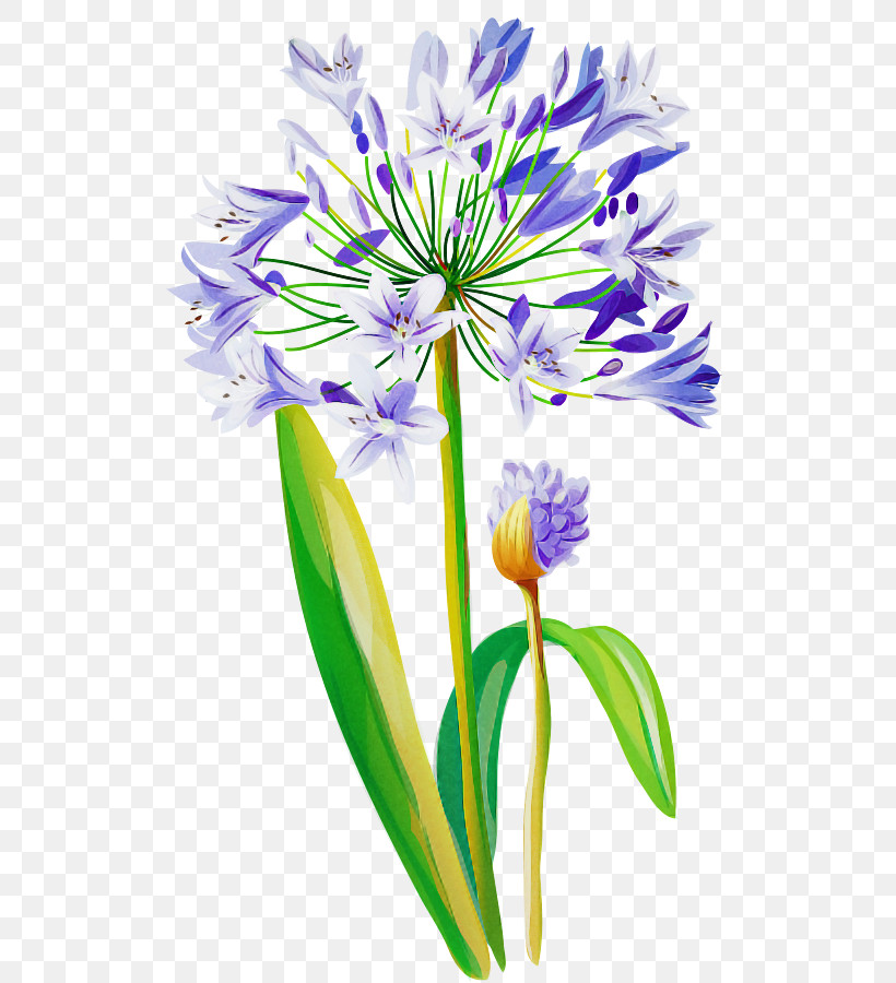 Flower Plant Purple Petal Cut Flowers, PNG, 515x900px, Drawing Flower, Cut Flowers, Floral Drawing, Flower, Perennial Plant Download Free
