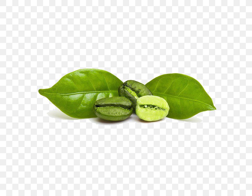 Green Coffee Extract Coffee Bean Espresso, PNG, 760x640px, Coffee, Basil, Cafection Enterprises Inc, Coffee Bean, Coffeemaker Download Free