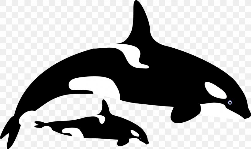 Killer Whale Dolphin Whales Drawing Clip Art, PNG, 1377x818px, Killer Whale, Animal Figure, Beluga Whale, Blue Whale, Bottlenose Dolphin Download Free