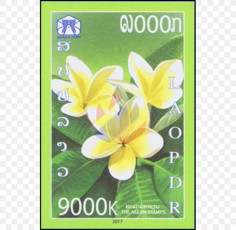 Laos Association Of Southeast Asian Nations Vietnam Plumeria Rubra Postage Stamps, PNG, 800x800px, Laos, Commemorative Stamp, First Day Of Issue, Flora, Floral Emblem Download Free
