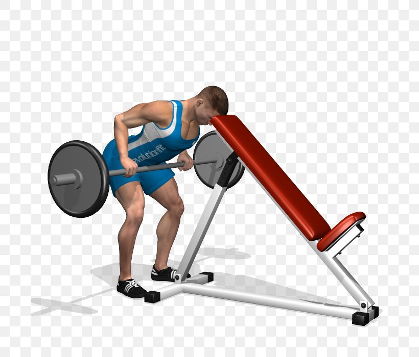 Weight Training Barbell Latissimus Dorsi Muscle Human Back, PNG, 700x700px, Weight Training, Arm, Balance, Barbell, Bench Download Free