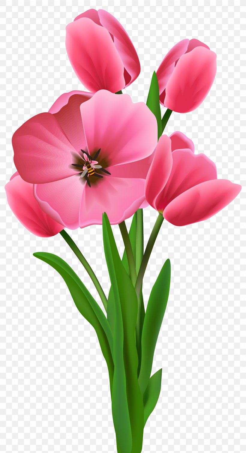 Wish Morning YouTube Good Drawing, PNG, 3942x7246px, Wish, Cut Flowers, Drawing, Floral Design, Flower Download Free