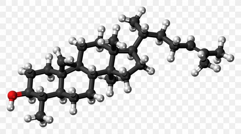 Cholesterol Allopregnanolone Neurosteroid High-density Lipoprotein, PNG, 2000x1115px, Cholesterol, Bile, Black And White, Body Jewelry, Fat Download Free