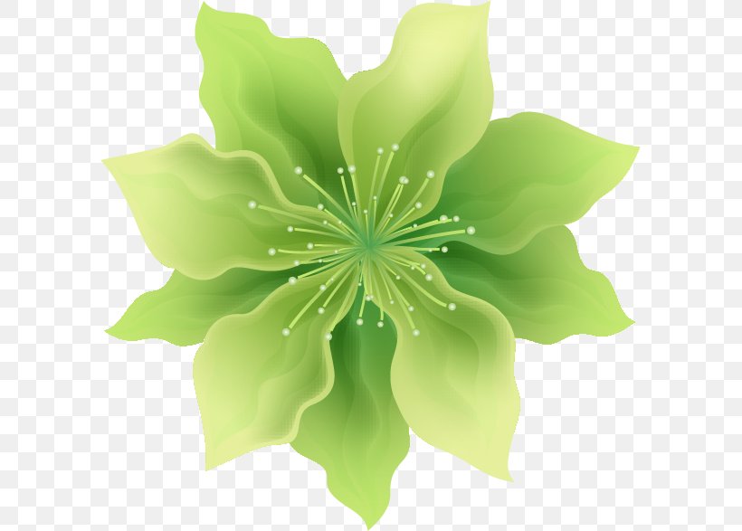 Green Leaf Background, PNG, 597x587px, Petal, Columbine, Flower, Green, Herbaceous Plant Download Free