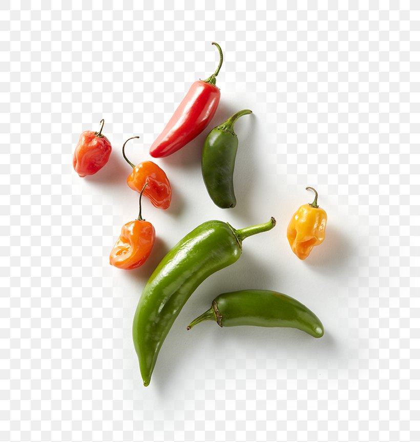 Habanero Serrano Pepper Bird's Eye Chili Tabasco Pepper Bell Pepper, PNG, 800x862px, Habanero, Bell Pepper, Bell Peppers And Chili Peppers, Birds Eye Chili, Capsicum Download Free