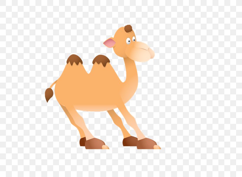 Pre-school Worksheet Education Lesson Plan Reading, PNG, 800x600px, Preschool, Animal Figure, Arabian Camel, Camel, Camel Like Mammal Download Free