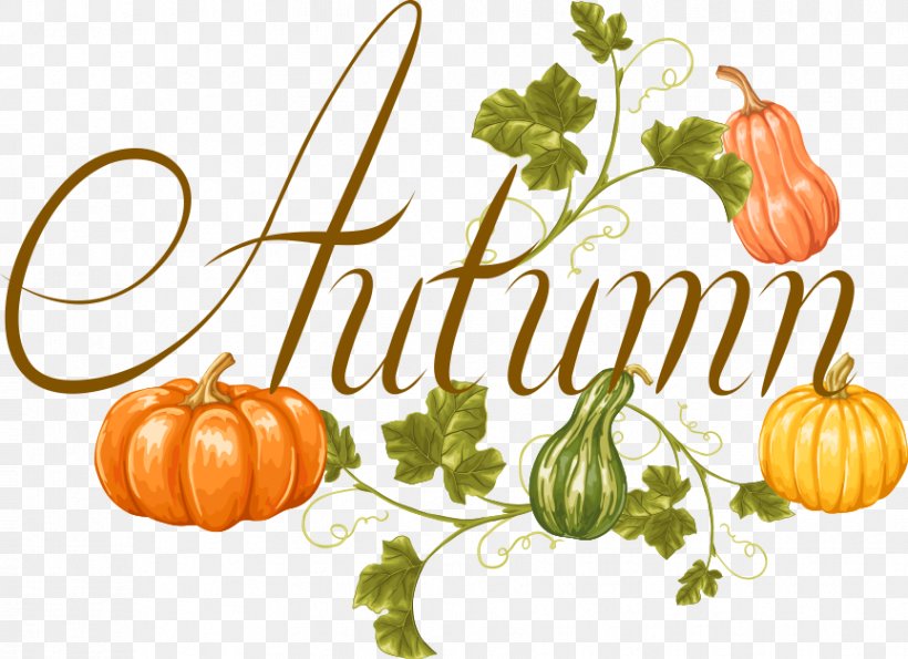 Calabaza Vegetable Pumpkin Autumn, PNG, 864x627px, Calabaza, Autumn, Creative Market, Cucumber Gourd And Melon Family, Cucurbita Download Free
