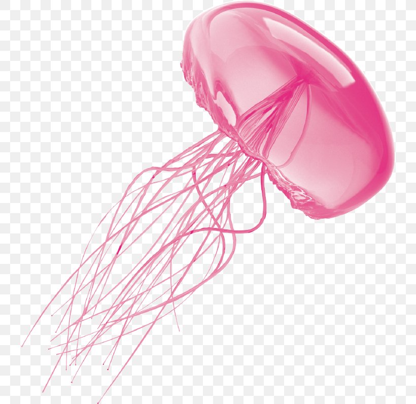 Jellyfish Clip Art, PNG, 738x796px, Jellyfish, Energy, Energy Storage, Lip, Magenta Download Free