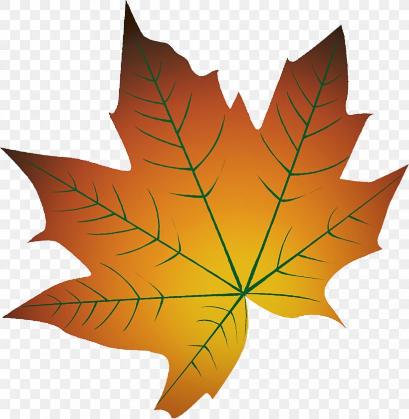 Maple Leaf, PNG, 1238x1269px, Leaf, Black Maple, Deciduous, Flowering Plant, Maple Leaf Download Free