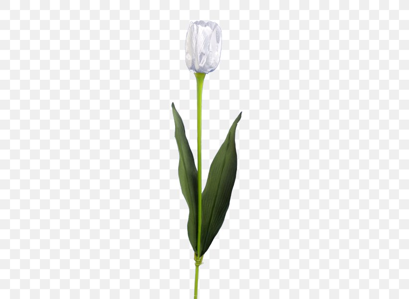 Tulip Delftware Flower Paper, PNG, 600x600px, Tulip, Askartelu, Bud, Craft Magnets, Cut Flowers Download Free
