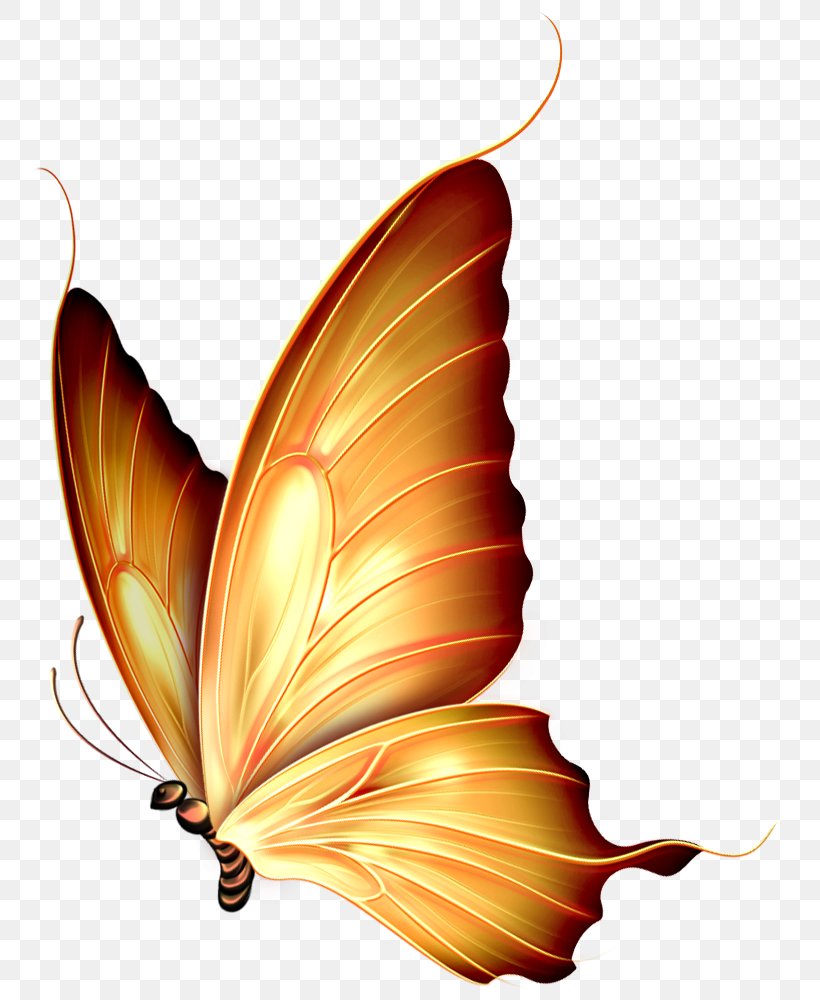 Butterfly Insect Clip Art, PNG, 782x1000px, Butterfly, Arthropod, Brush Footed Butterfly, Butterflies And Moths, Color Download Free