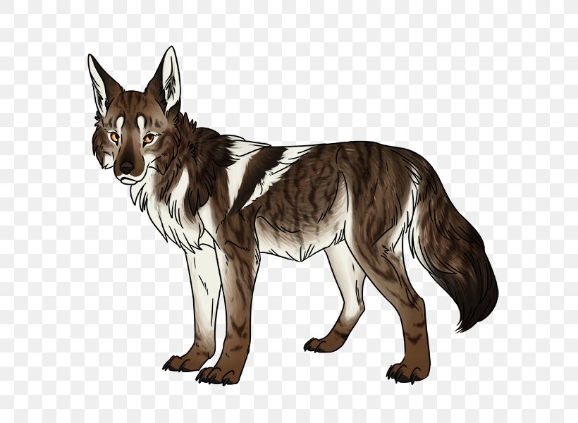 Cat Gray Wolf Coyote Red Fox Red Wolf, PNG, 600x600px, Cat, Big Cat, Big Cats, Carnivoran, Cat Like Mammal Download Free