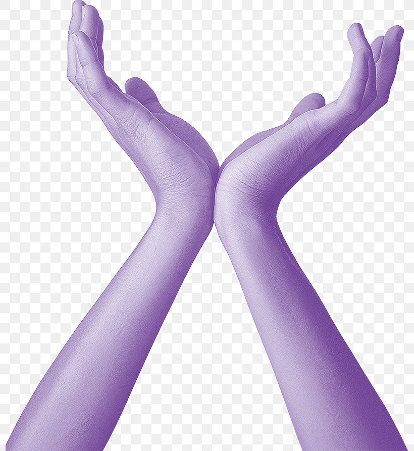 Finger, PNG, 798x893px, Finger, Arm, Hand, Human Leg, Joint Download Free