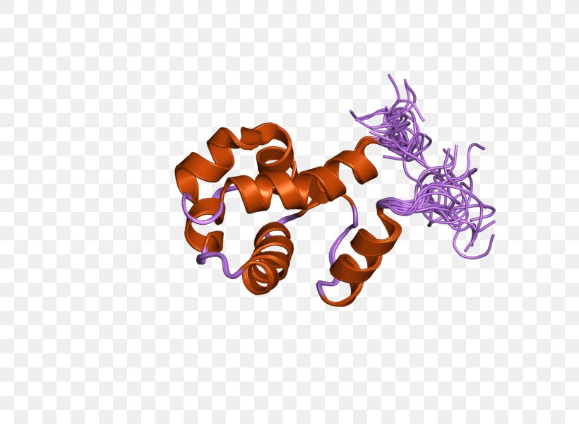 SPDEF ETS Transcription Factor Family Gene Font, PNG, 800x600px, Transcription Factor, Gene, Homo Sapiens, Protein, Purple Download Free