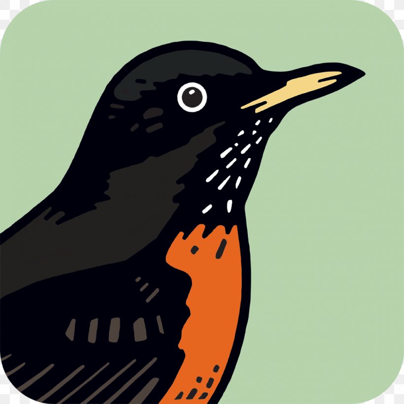 Android Mobile Phones Bird Roadtrippers, PNG, 1024x1024px, Android, App Store, Beak, Bird, Birdwatching Download Free