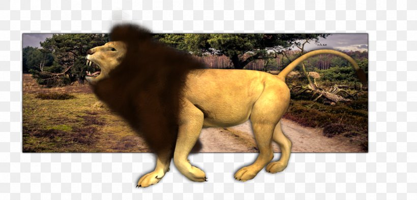 Big Cat Terrestrial Animal Wildlife, PNG, 1288x620px, Cat, Animal, Big Cat, Big Cats, Carnivoran Download Free