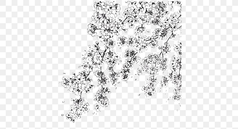 Cherry Blossom Color White Transparent, PNG, 443x445px, Cherry Blossom, Area, Black, Black And White, Blossom Download Free