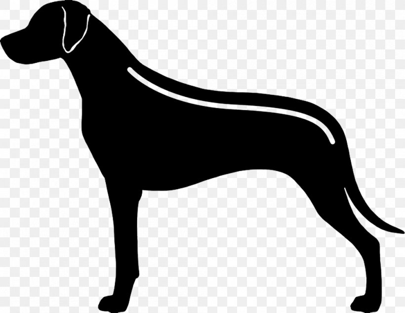 Dobermann Rhodesian Ridgeback Pointer, PNG, 1000x772px, Dobermann, Black And White, Carnivoran, Dog, Dog Breed Download Free