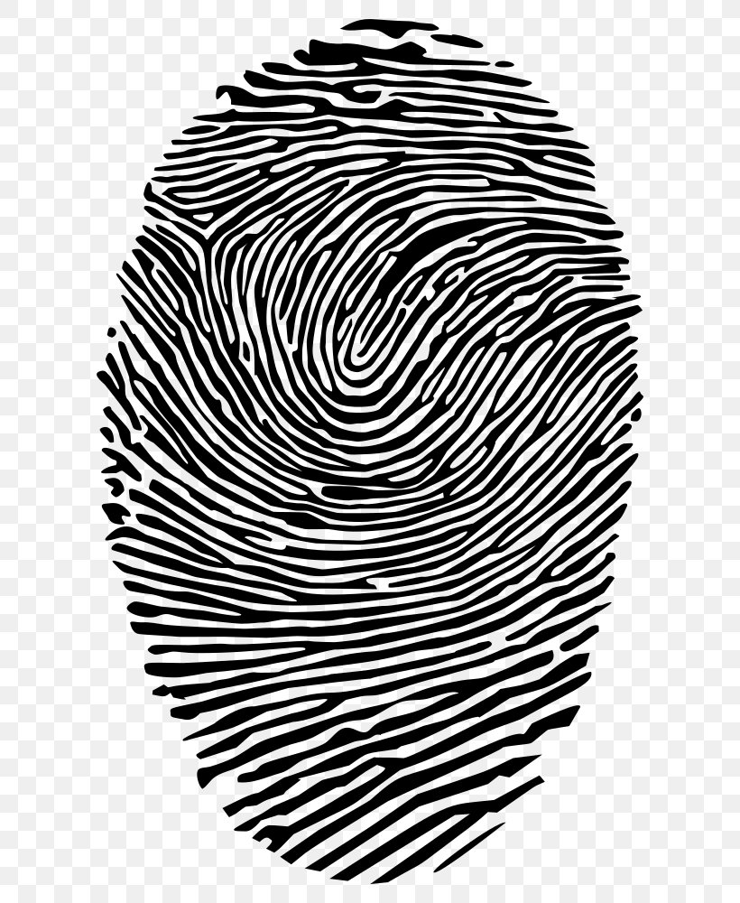 Fingerprint CMYK Color Model Dermatoglyphics Clip Art, PNG, 646x1000px, Fingerprint, Black, Black And White, Cmyk Color Model, Dermatoglyphics Download Free