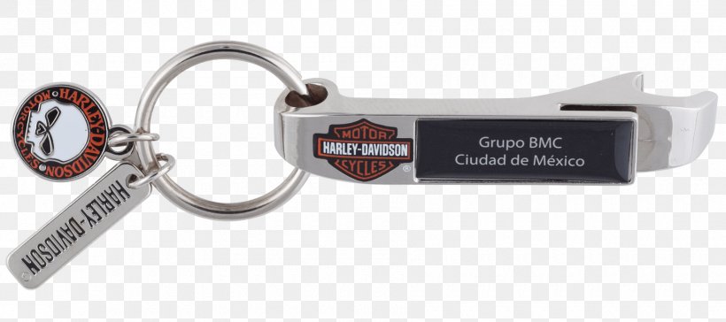 Key Chains Computer Hardware, PNG, 1800x800px, Key Chains, Computer Hardware, Fashion Accessory, Hardware, Keychain Download Free