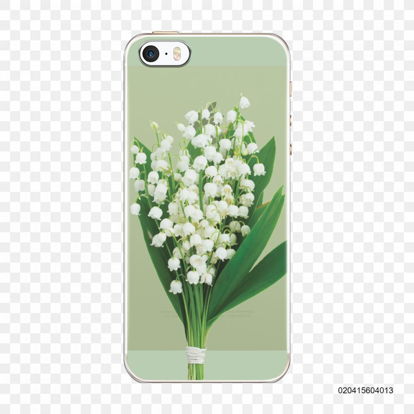Lily Of The Valley Flower Royalty-free Stock Photography, PNG, 2000x2000px, Lily Of The Valley, Convallaria, Flower, Flower Delivery, Grass Download Free