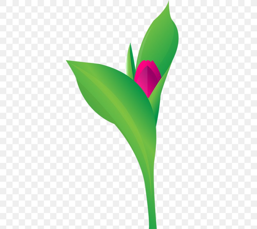 Petal Leaf Plant Stem Clip Art, PNG, 400x731px, Petal, Closeup, Flora, Flower, Flowering Plant Download Free