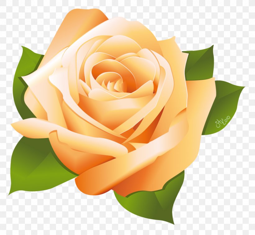 Rose Drawing Clip Art, PNG, 954x880px, Rose, Close Up, Cut Flowers, Drawing, Floral Design Download Free