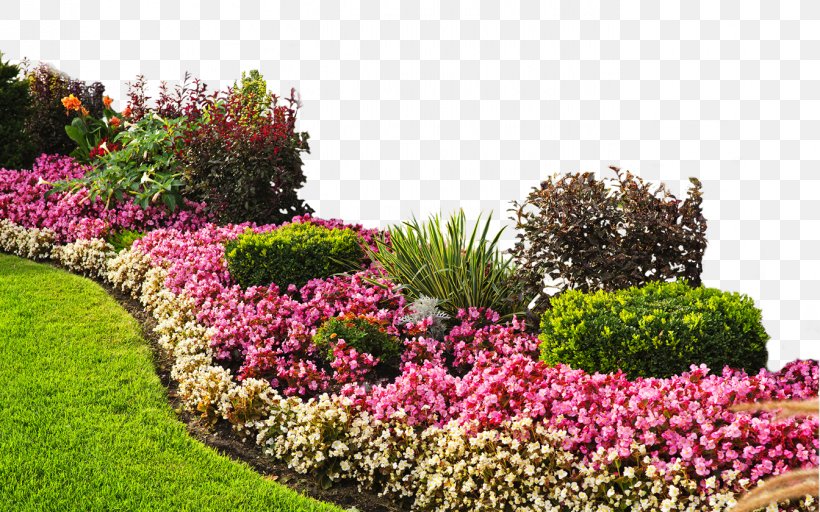 Flower Garden Landscaping Raised-bed Gardening, PNG, 1344x840px, Flower  Garden, Annual Plant, Back Garden, Bed, Botanical