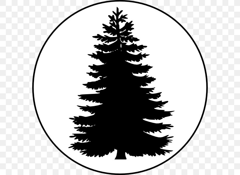 Pine Tree Conifers Clip Art, PNG, 600x600px, Pine, Black And White, Branch, Christmas Decoration, Christmas Ornament Download Free