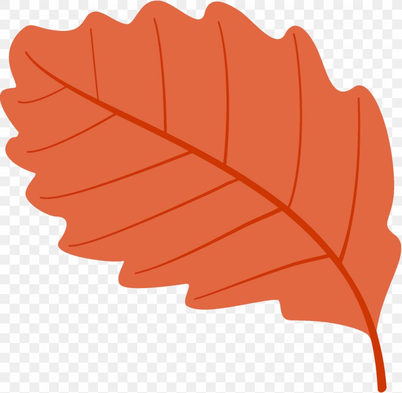 Autumn Leaf Fallen Leaf Dead Leaf, PNG, 1026x1004px, Autumn Leaf, Dead Leaf, Fallen Leaf, Leaf, Orange Download Free