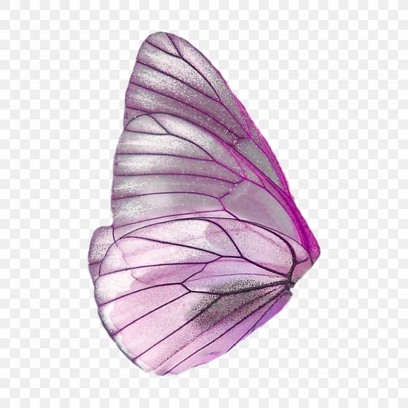 Butterfly Fairy Wings Clip Art, PNG, 2896x2896px, Butterfly, Butterfly Wings, Fairy, Fairy Wings, Insect Download Free