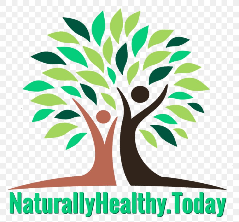 Dietary Supplement Zija Drumstick Tree Health Nutrient, PNG, 1024x955px, Dietary Supplement, Area, Artwork, Branch, Brand Download Free