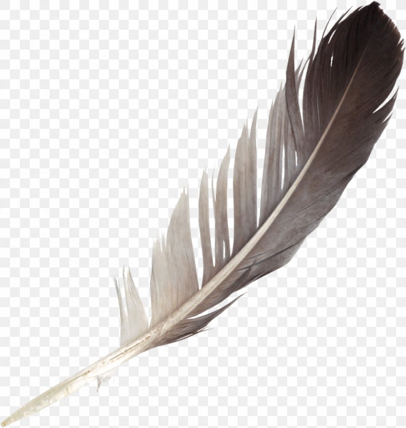 Feather Bird Clip Art, PNG, 934x985px, Feather, Bird, Quill, White Feather, Wing Download Free