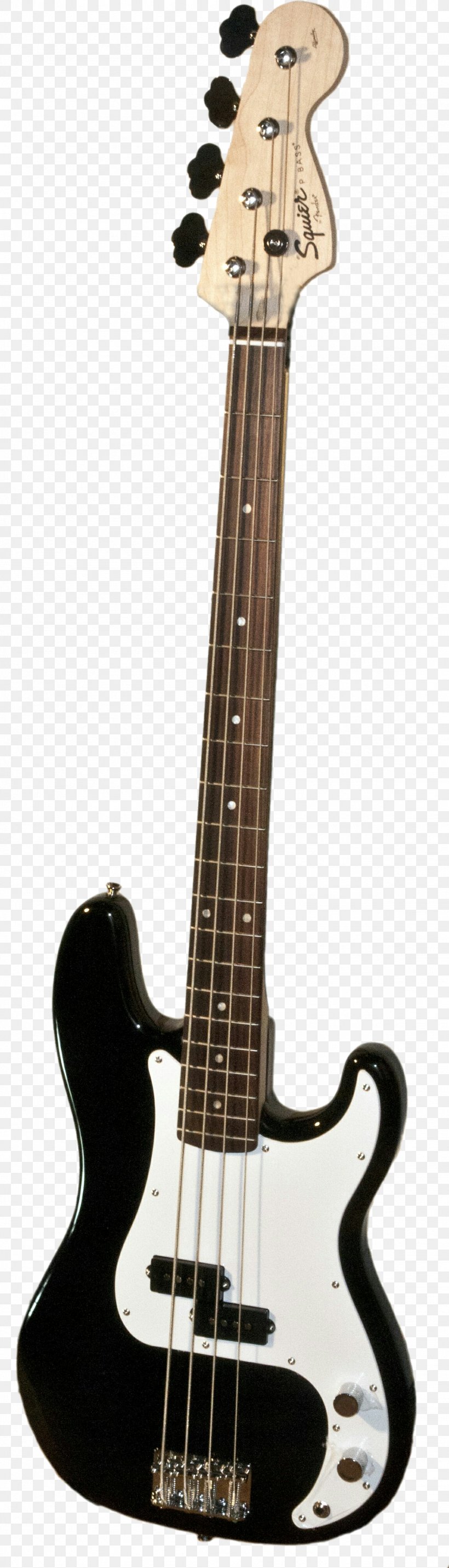 Fender Precision Bass Fender Performer Bass Guitar Amplifier Fender Jazz Bass Bass Guitar, PNG, 1152x4020px, Fender Precision Bass, Acoustic Electric Guitar, Bass, Bass Guitar, Bass Violin Download Free