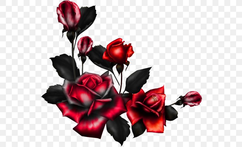 Rose Clip Art Flower Image, PNG, 550x498px, Rose, Art, Cut Flowers, Drawing, Floral Design Download Free