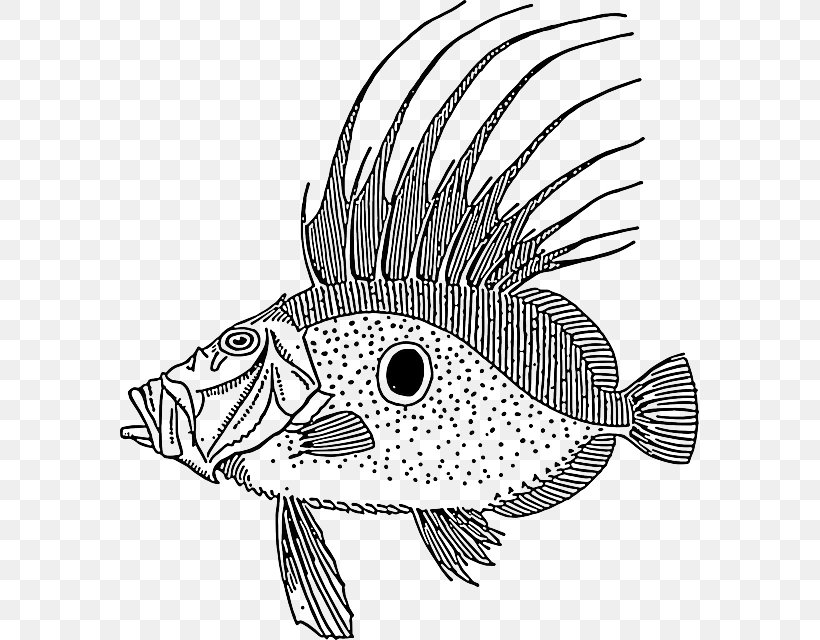 Drawing Fish Line Art Clip Art, PNG, 579x640px, Drawing, Art, Beak, Black And White, Cartoon Download Free