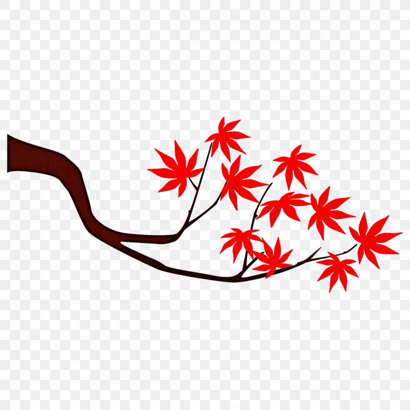 Maple Branch Maple Leaves Autumn Tree, PNG, 1200x1200px, Maple Branch, Autumn, Autumn Tree, Fall, Flower Download Free