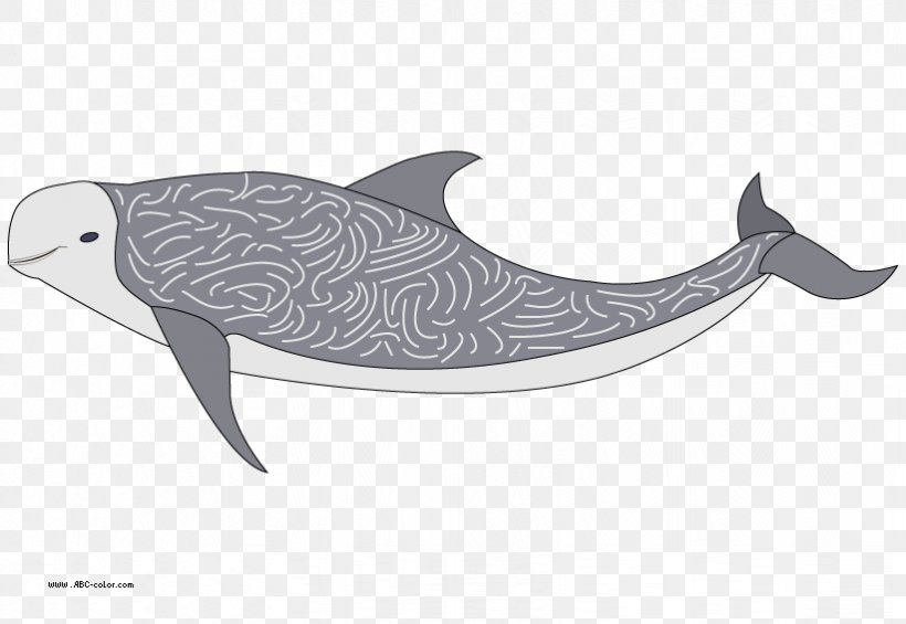Tucuxi Porpoise Risso's Dolphin, PNG, 822x567px, Tucuxi, Cetacea, Coloring Book, Computer, Dolphin Download Free