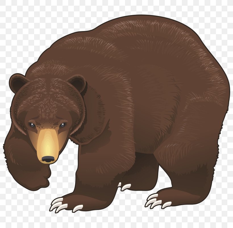 Brown Bear Clip Art, PNG, 800x800px, Bear, Animal Figure, Brown Bear, Carnivoran, Child Download Free