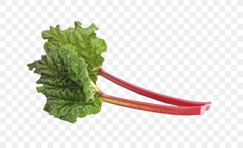 Auerpak Buhar Odası Chard Hot Tub Garden Rhubarb, PNG, 752x500px, Chard, Food, Garden Rhubarb, Garlic, Health Fitness And Wellness Download Free