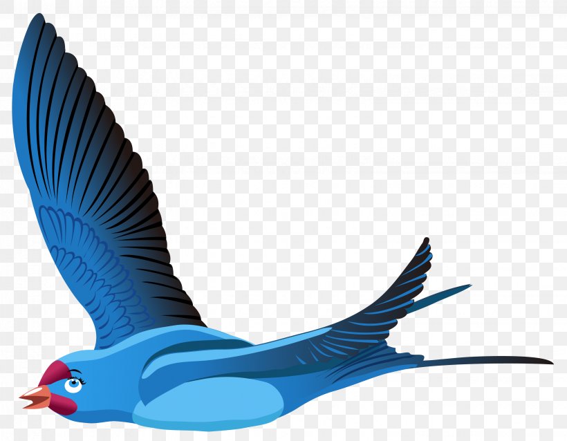 Bird Flight Red-billed Leiothrix Bird Flight Blue, PNG, 3086x2402px, Bird, Beak, Bird Flight, Blue, Electric Blue Download Free