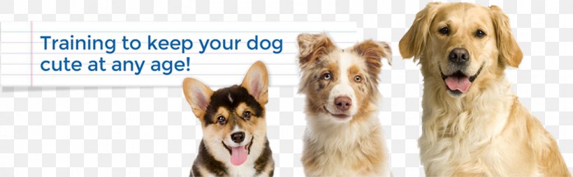 Dog Breed Pet Wood Snout, PNG, 1097x341px, Dog Breed, Bowl, Breed, Carnivoran, Dog Download Free
